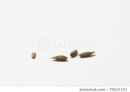 Cumin hall spice 70025333