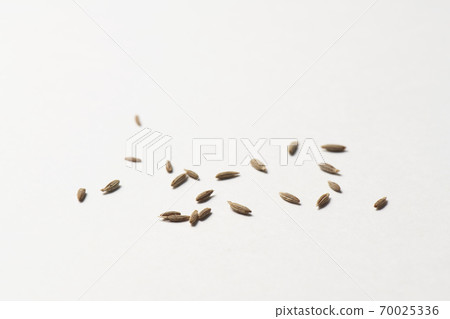 Cumin hall spice Cumin hall spice 70025336