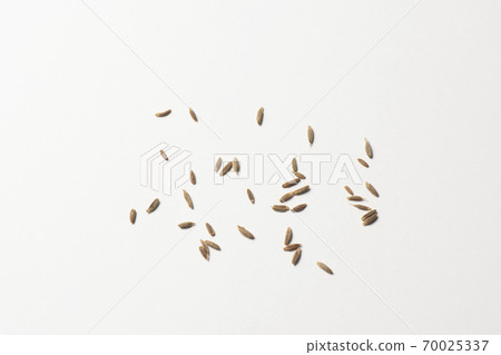 Cumin hall spice Cumin hall spice 70025337