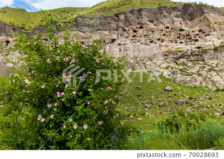 Vardzia cave city Vardzia cave city 70028693