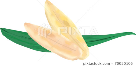 Illustration of simple bamboo leaves and bamboo fish paste Illustration of simple bamboo leaves and bamboo fish paste 70030106