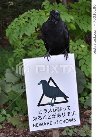 烏鴉標誌① 70030190