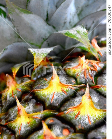 A close up of a pineapple A close up of a pineapple 70030247