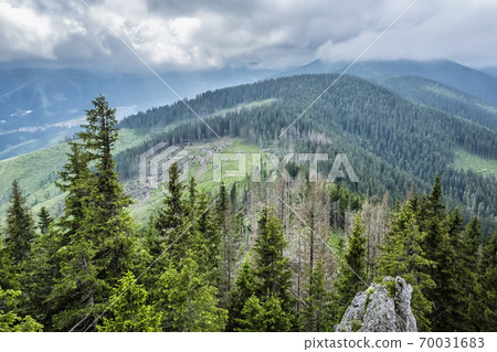 Demanovska valley, Low Tatras, Slovakia Demanovska valley, Low Tatras, Slovakia 70031683