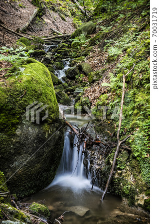 Water stream, Snake valley, Kremnica hills, Slovakia 70031719