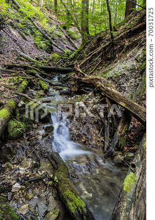 Water stream, Snake valley, Kremnica hills, Slovakia 70031725
