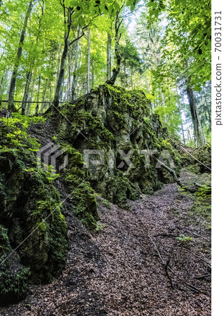 Snake valley, Kremnica hills, Slovakia, seasonal natural scene 70031731