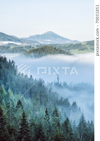 Natural scene with morning fog, Orava Region, Slovakia 70031851