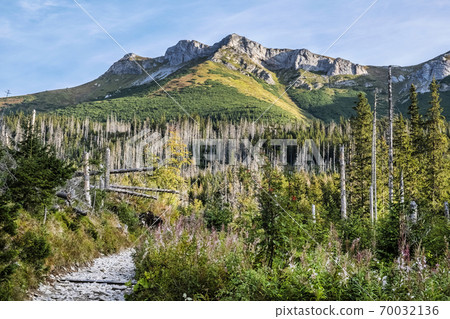 Belianske Tatras scenery, Slovakia, hiking theme Belianske Tatras scenery, Slovakia, hiking theme 70032136