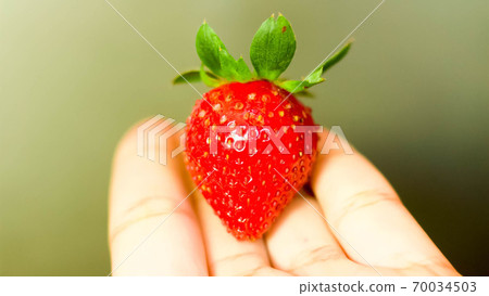 beautiful and juicy strawberries,Heap of fresh strawberry 70034503
