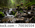 People climbing in the mountains surrounded by greenery 70036504