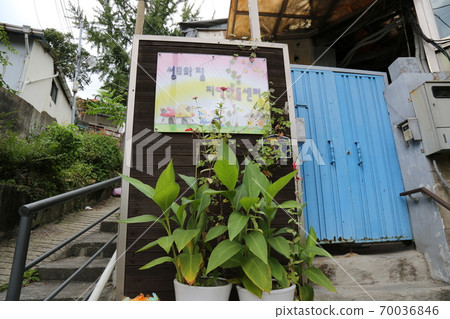 植物,在花園裡。 植物,在花園裡。 70036846