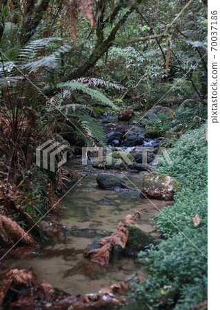 Natural river 70037186