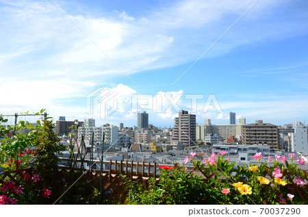 From the top floor of the condominium, a flower garden full of flowers in the blue sky, a healing space at home From the top floor of the condominium, a flower garden full of flowers in the blue sky, a healing space at home 70037290