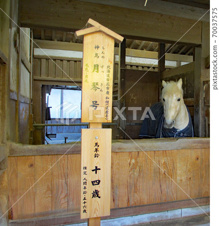 Kintohiragu神社，劍神，築地02 70037575