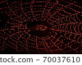 Close-up photo of autumn spyder web with dew drops in the red lighting 70037610