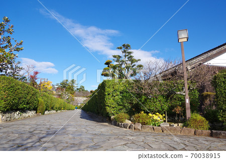 Autumn castle house 70038915