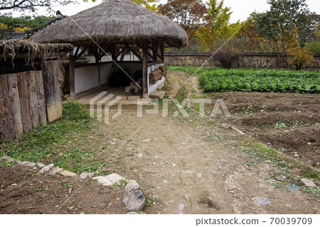 Folk village walk 70039709