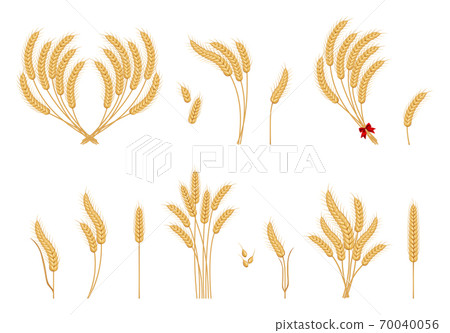 Wheat ears icons 70040056