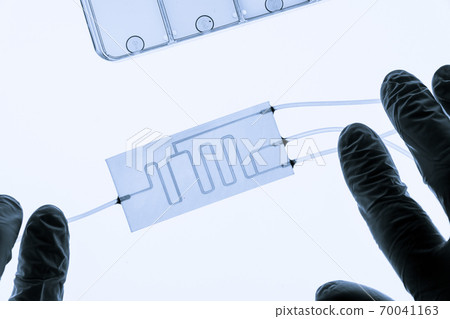 Organ on chip OOC and lab on chip LOC - microfluidic device chip that simulates biological organs and laboratory device . Prototype of design lab-on-a-chip LOC in microfluidic laboratory 70041163