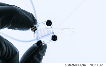 Organ on chip OOC and lab on chip LOC - microfluidic device chip that simulates biological organs and laboratory device . Prototype of design lab-on-a-chip LOC in microfluidic laboratory 70041164