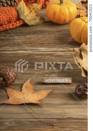 template for November with dried leaves and pumpkins on wooden background 70041923