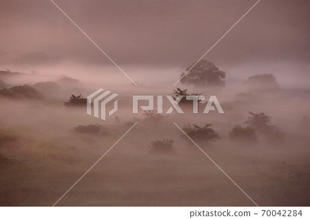 Morning fog 70042284