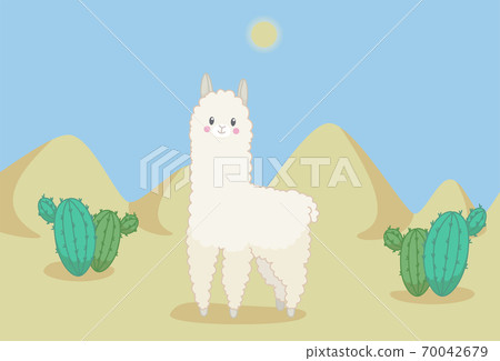 Fluffy lama in the desert with cactuses and sandy dunes under midday sun. Vector illustration in cute cartoon style 70042679