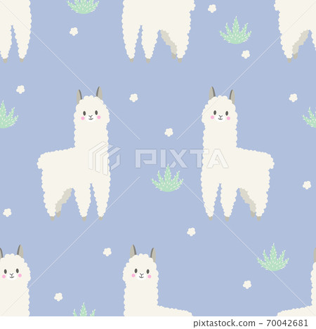 Lama on the turquoise background. Vector illustration 70042681