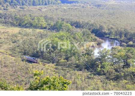 Diesel train on the Kushiro Main Line running in the Kushiro Marsh Diesel train on the Kushiro Main Line running in the Kushiro Marsh 70043223