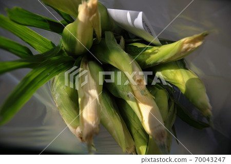 我愛你 我愛你 70043247