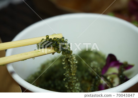 Sea grapes Sea grapes 70043847