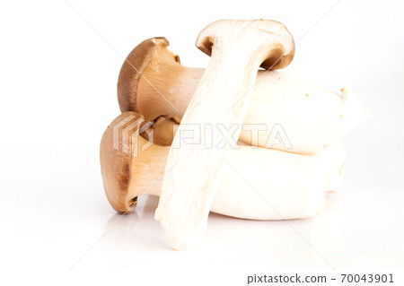 King oyster mushroom or Eryngii mushroom isolated on white background King oyster mushroom or Eryngii mushroom isolated on white background 70043901