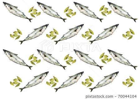 White background with sea bass and laurel. Food concept 70044104