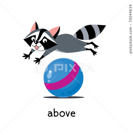 Preposition of place. Raccoon above the ball 70044634