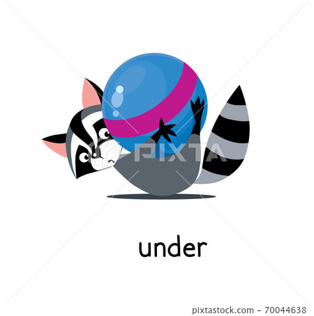 Preposition of place. Raccoon under the ball 70044638