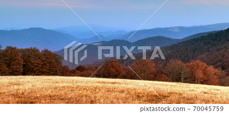 Picturesque autumn mountains with red beech forest 70045759