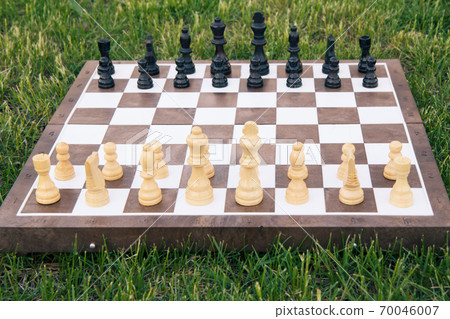 Chess board with chess pieces on green grass 70046007
