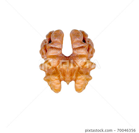 Walnut isolated on the white background 70046356