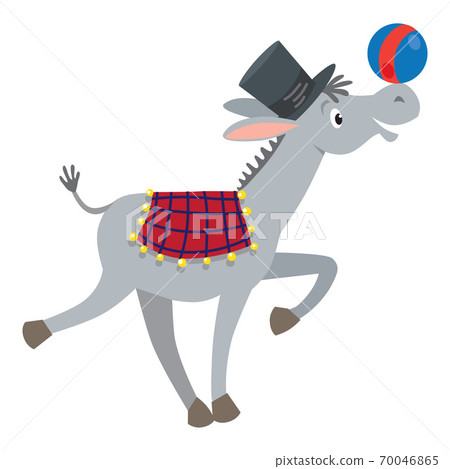 Funny gray donkey with ball Funny gray donkey with ball 70046865