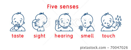 Five senses icon. Touch, taste hearing sight smell Five senses icon. Touch, taste hearing sight smell 70047026