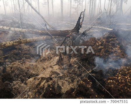 Peatlands are on fire. Forest fire and its consequences Peatlands are on fire. Forest fire and its consequences 70047531