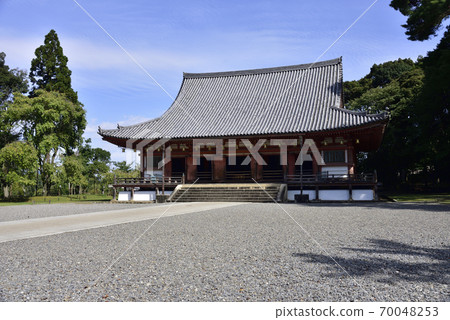 近藤大悟寺 70048253