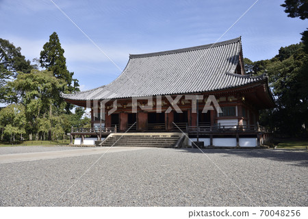 近藤大悟寺 近藤大悟寺 70048256
