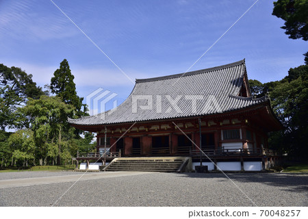 近藤大悟寺 近藤大悟寺 70048257
