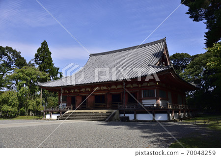 近藤大悟寺 近藤大悟寺 70048259