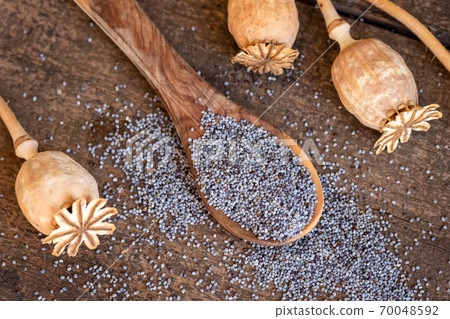 Poppy seeds on a spoon, with poppy heads 70048592
