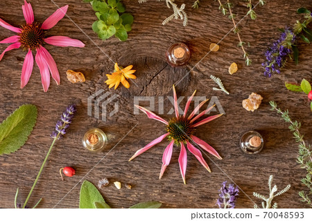 Bottles of essential oil with frankincense, lavender, hyssop, echinacea, oregano, calendula, thyme, wintergreen 70048593