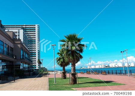Tropical style around Chiba Minato Pier (passenger ship terminal) 70049198