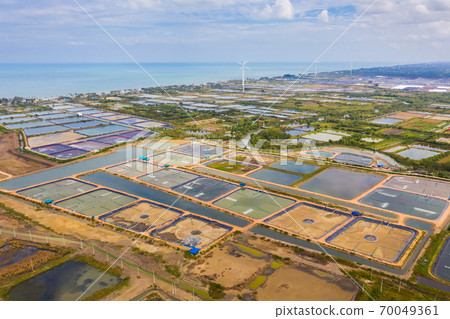 tiger prawn farm or shrimp farming in Nakhon si Thammarat province in south of Thailand 70049361